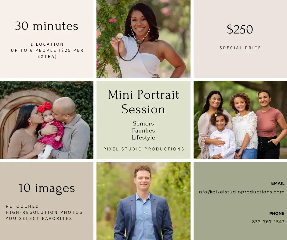 special mini portrait session